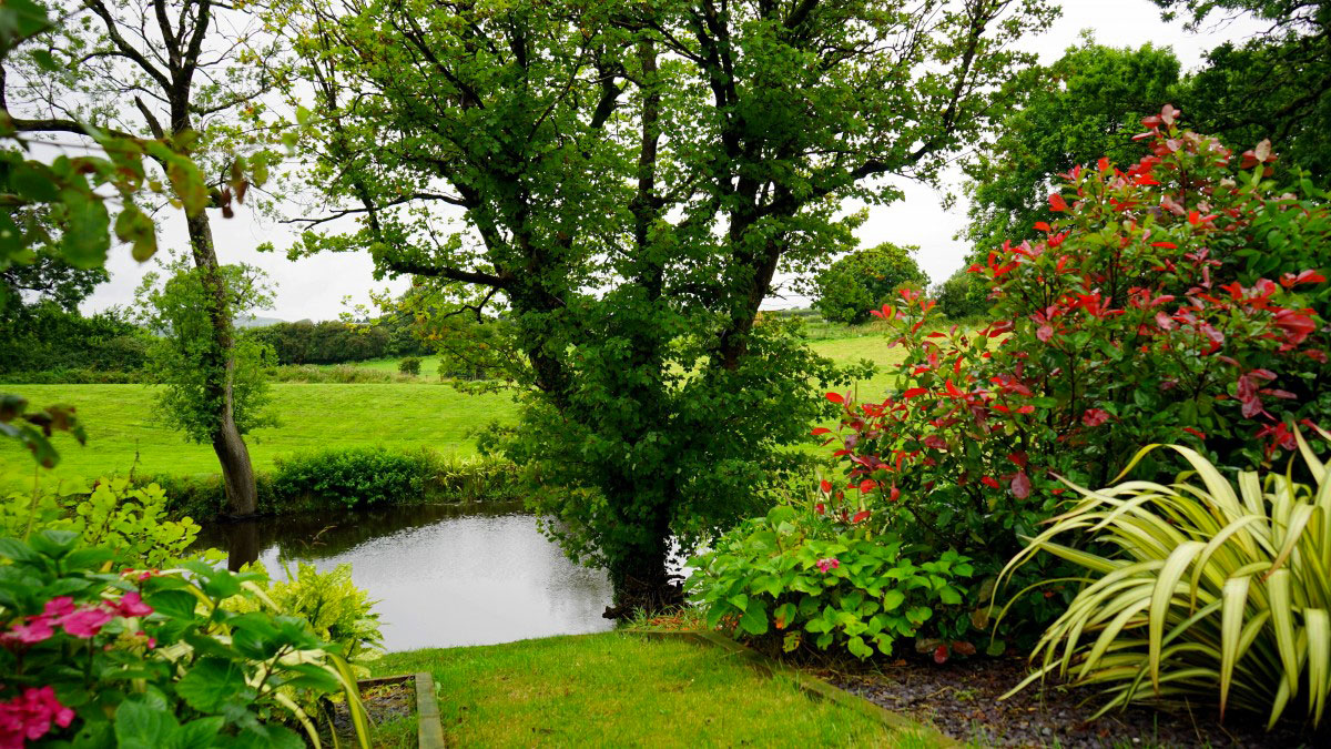 Progettazione e realizzazione giardini